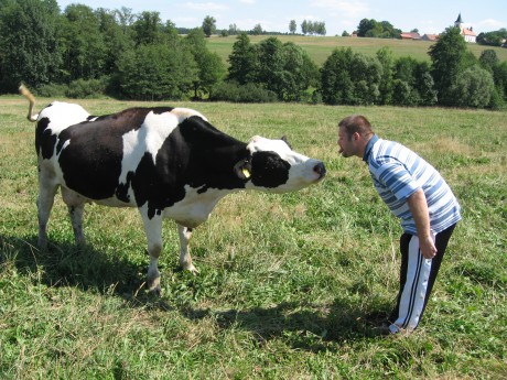 kráva a já.jpg