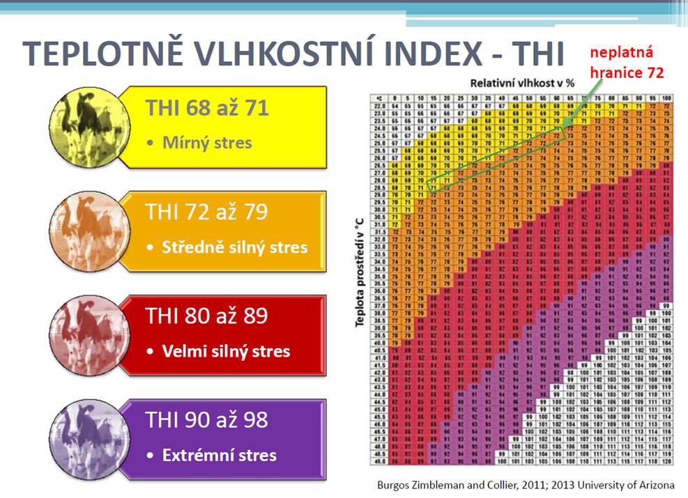 thi-index.jpg