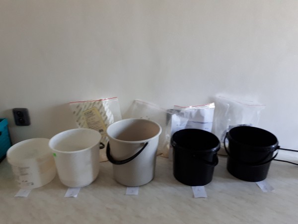 20180612_104429.jpg
